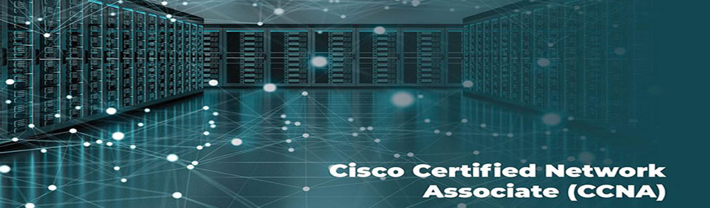 CCNA Training institute